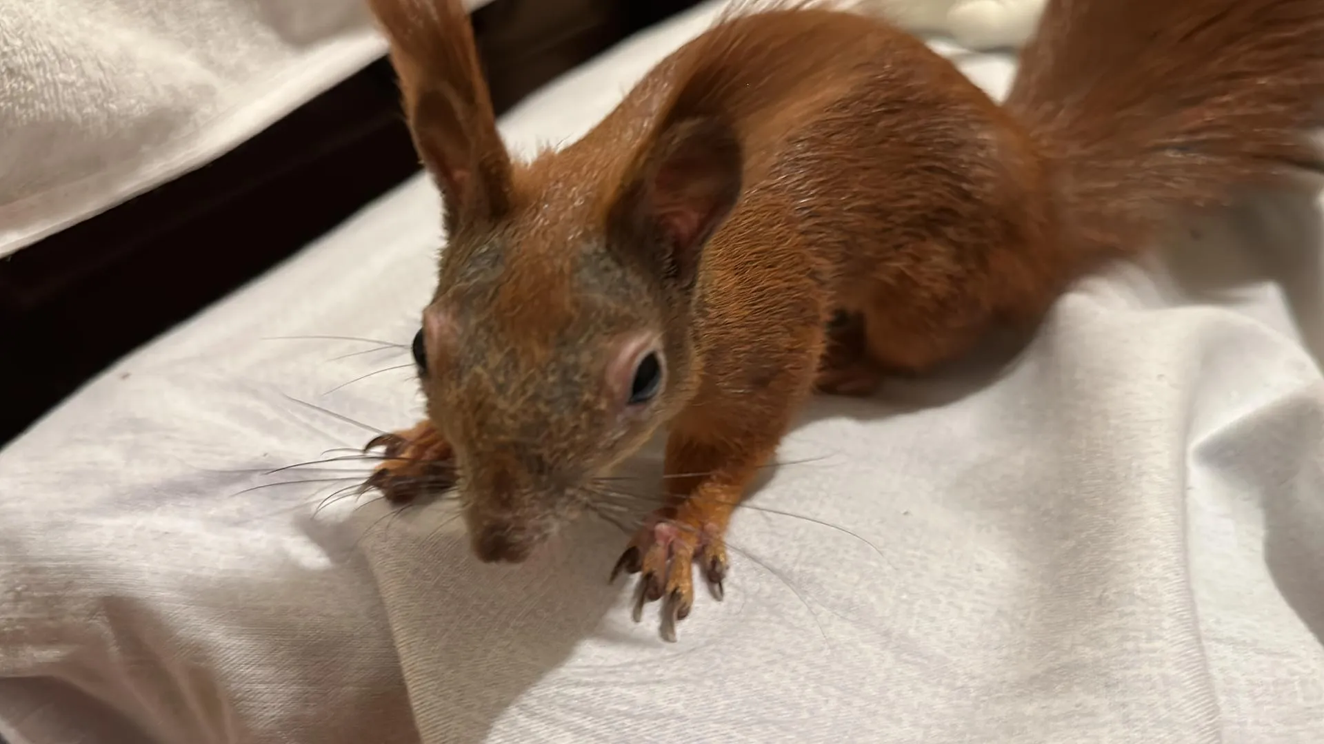 Фото: Мария Шматкова