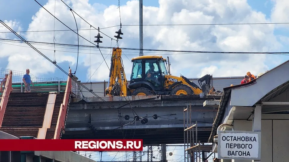 Фото: Светлана Плотникова