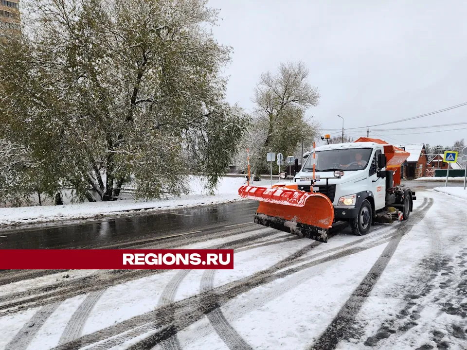 Фото: Дмитрий Алексеенко