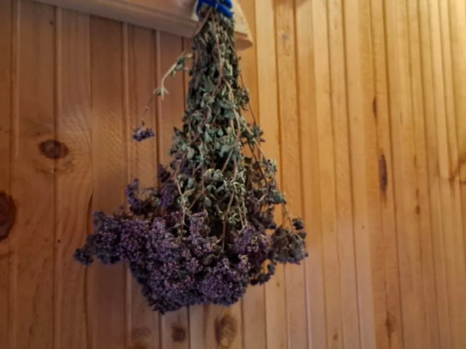 Фото: REGIONS/Юлия Габбасова