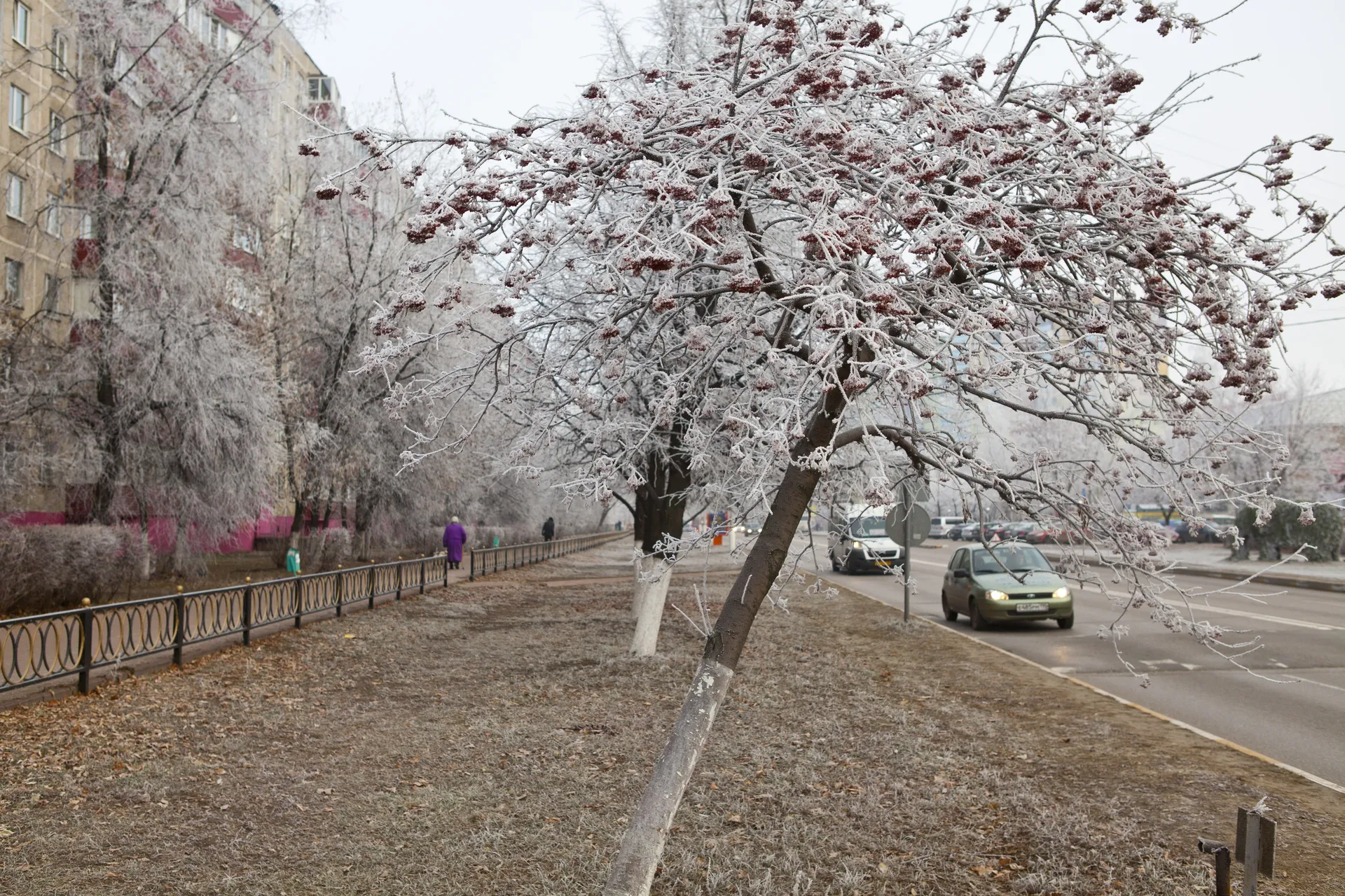 Морозная погода в Раменском