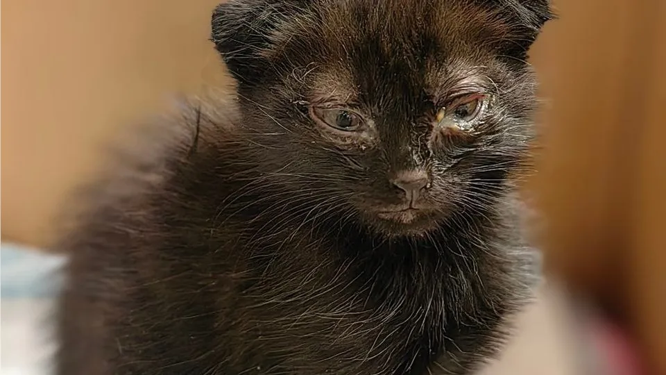 Фото: Татьяна Очаковская