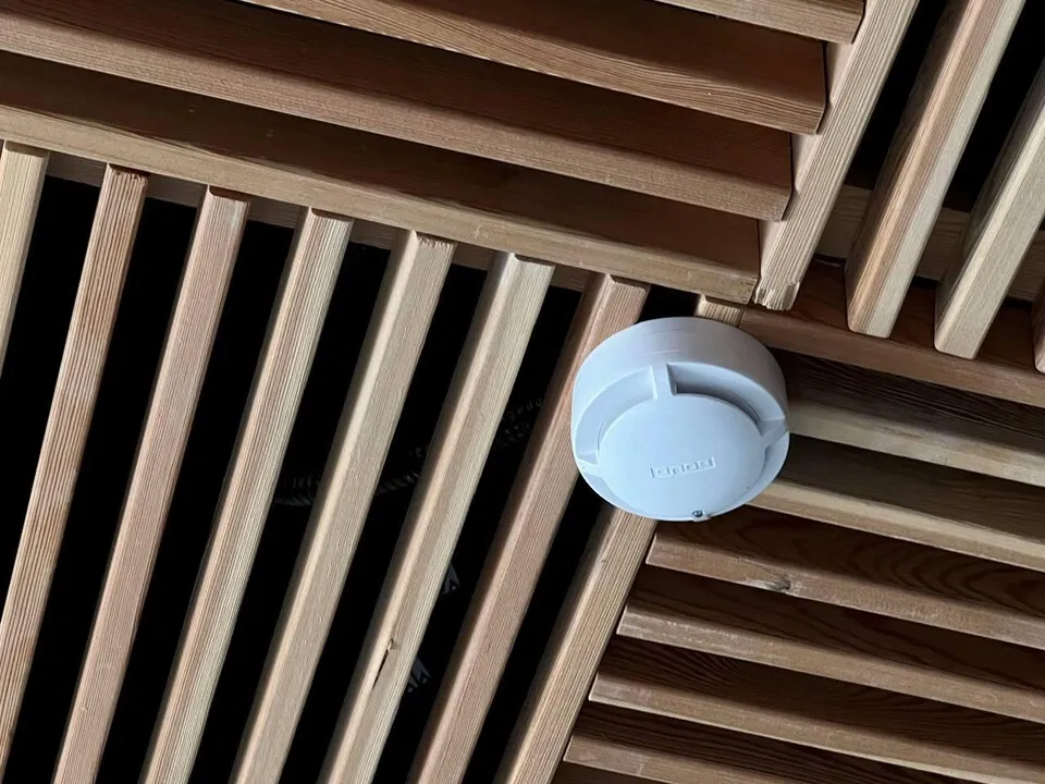 Фото: пресс-служба администрации г.о. Балашиха