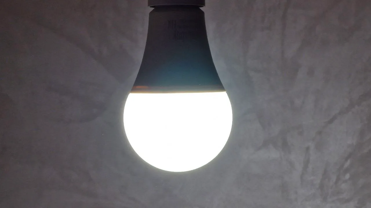 Фото: REGIONS/Наталия Надточая