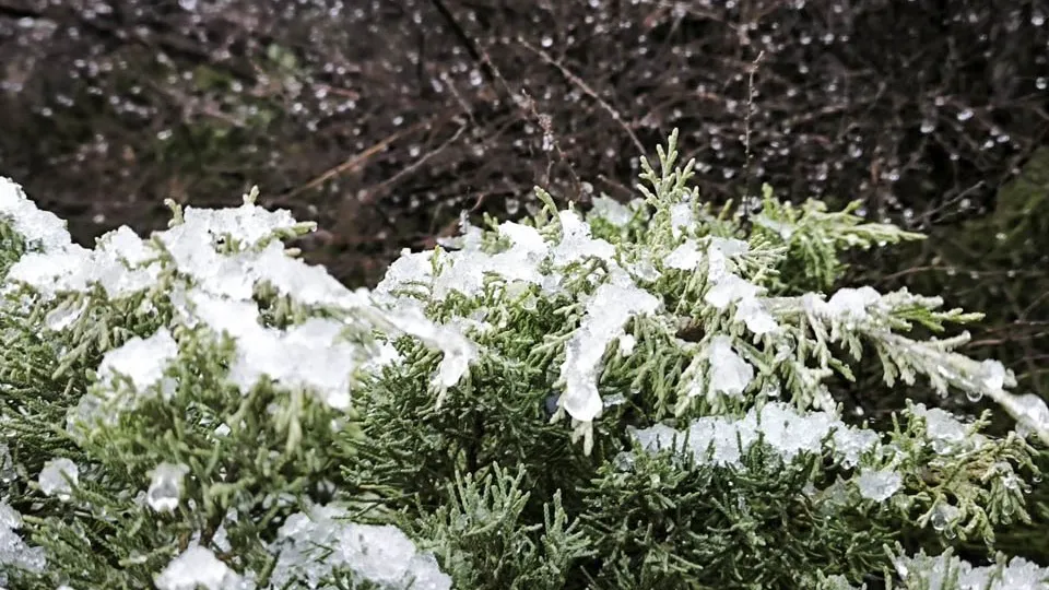 Фото: REGIONS/Роман Малышенко