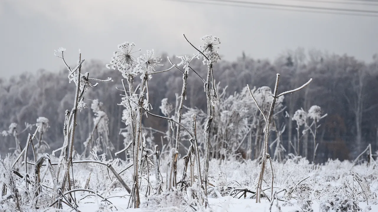 медиасток.рф