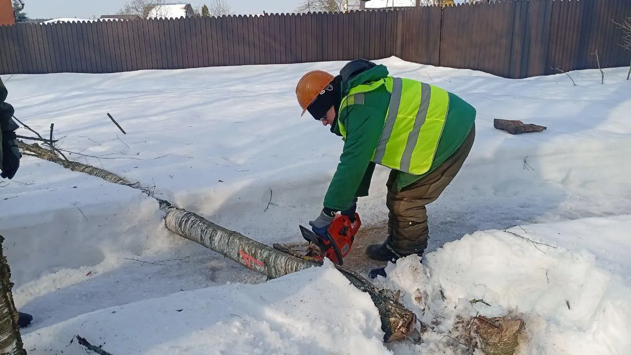 Комитет лесного хозяйства Московской области