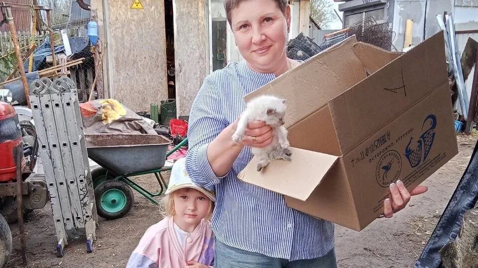 Фото: t.me/OErohanovaSP