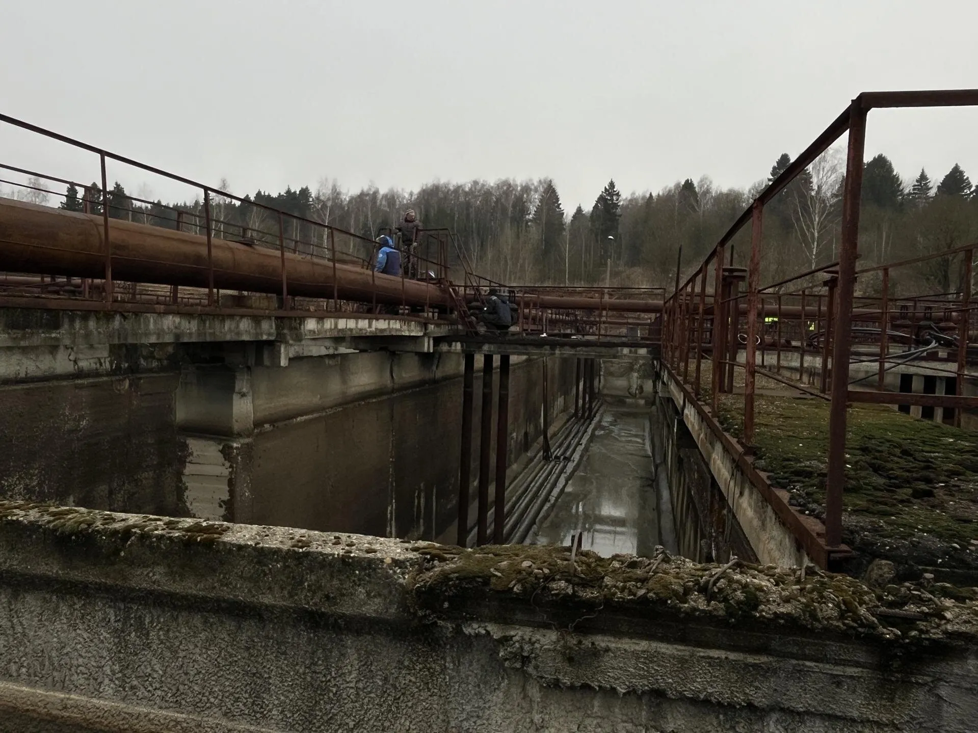 Фото: Анна Тюрюмина&nbsp; &nbsp; &nbsp; &nbsp; &nbsp;