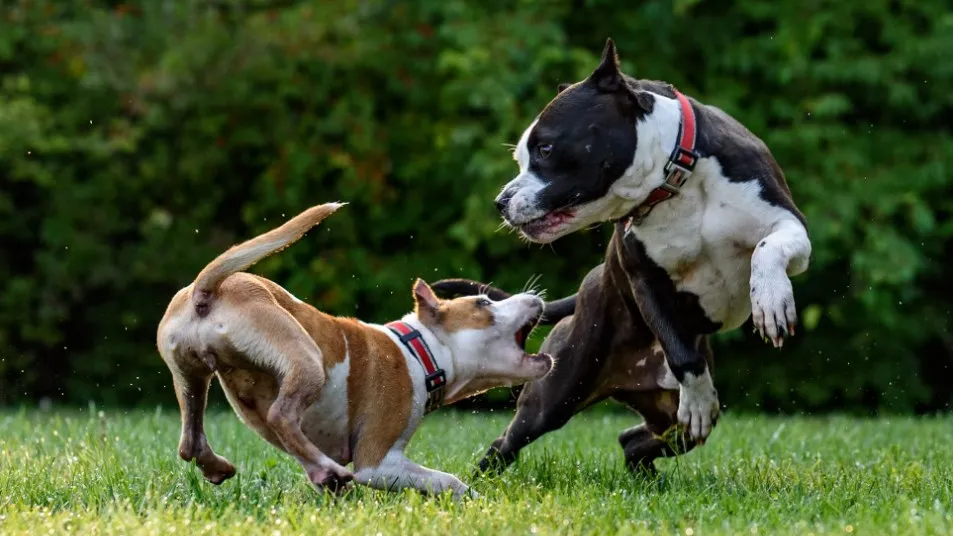 Фото: unsplash.com