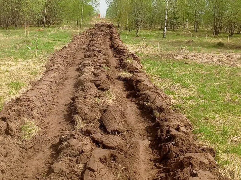 Фото: пресс-служба администрации Можайского городского округа