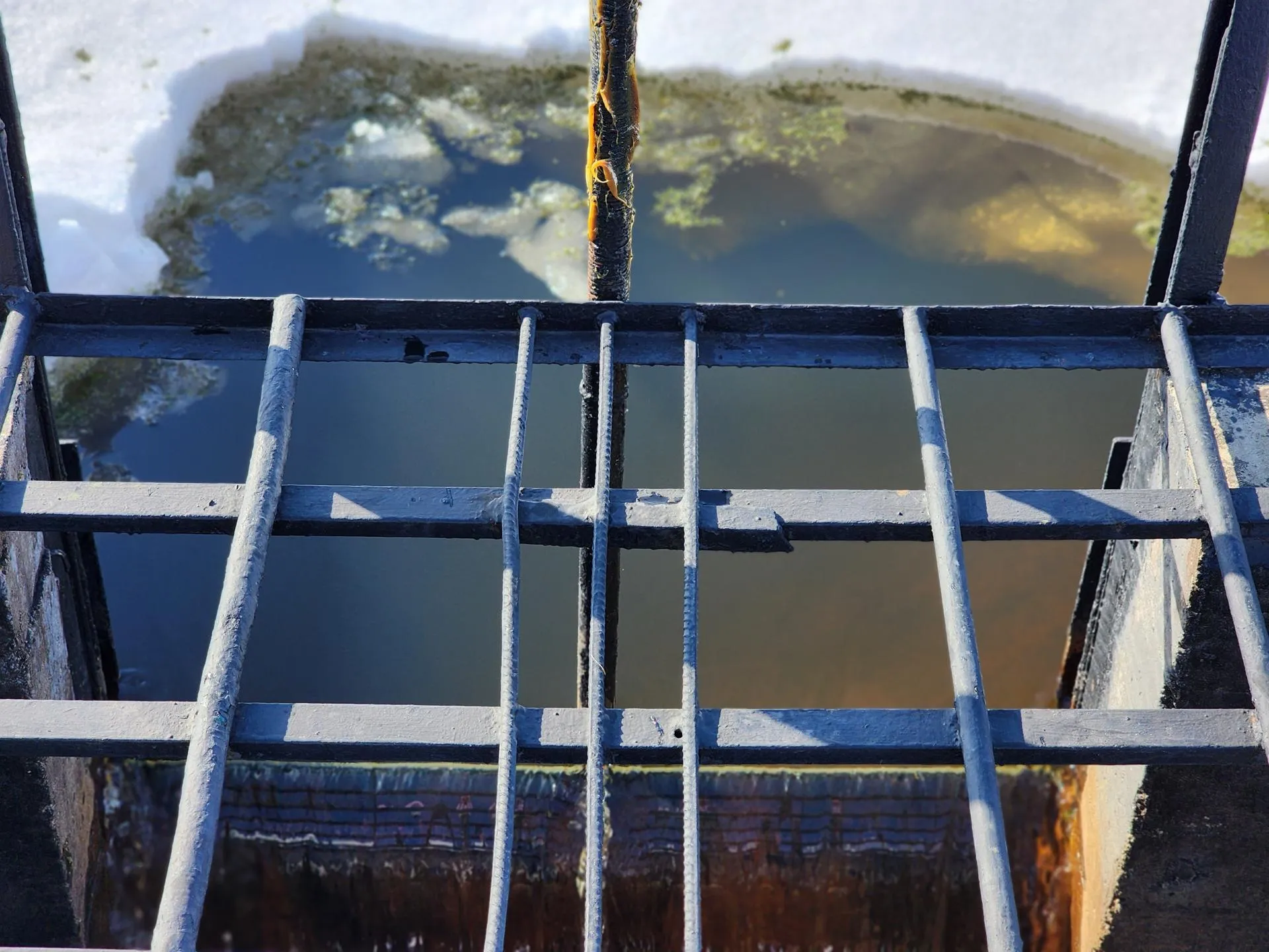 REGIONS/Елена Шумакова