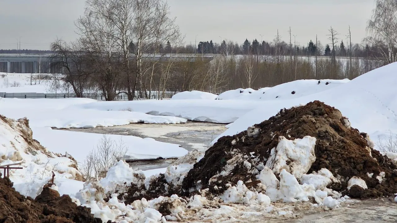 Фото: Юлия Смагринская