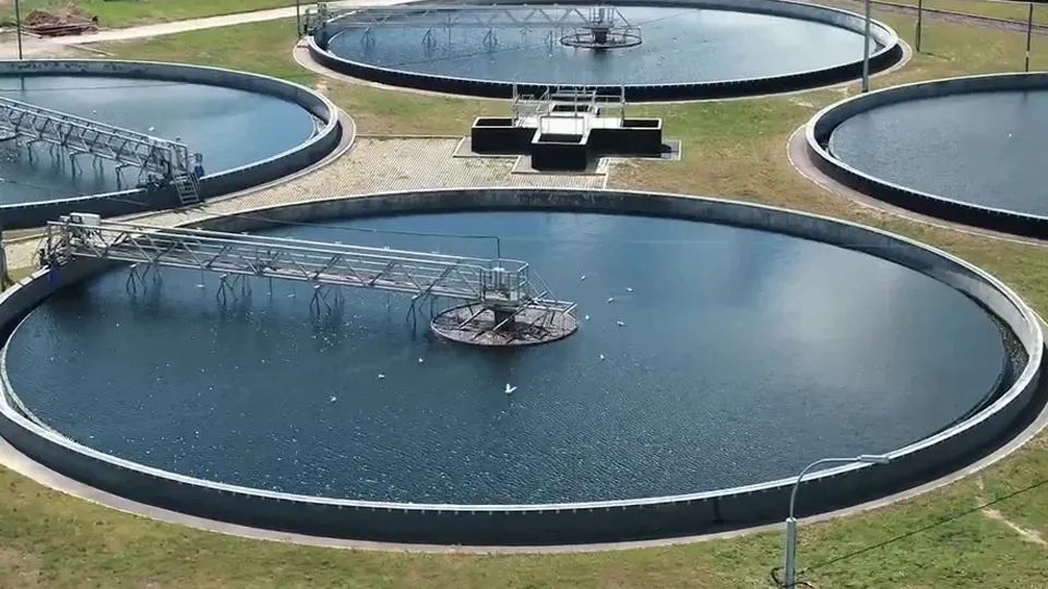 Фото: пресс-служба губернатора и правительства Московской области