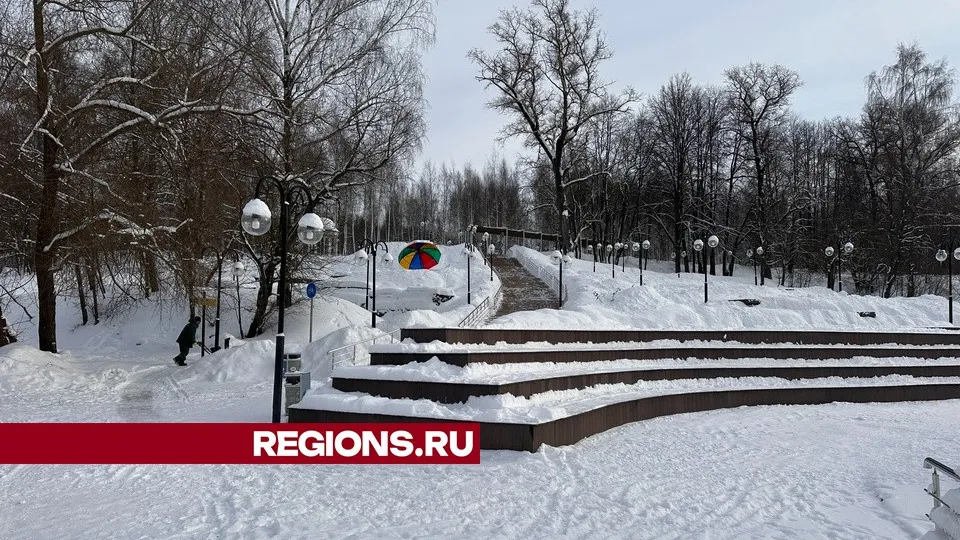 Фото: МедиаБанк Подмосковья/Данила Кирьянов