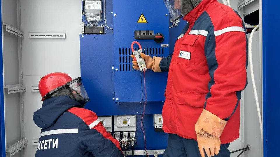 Фото: Россетти Московский регион