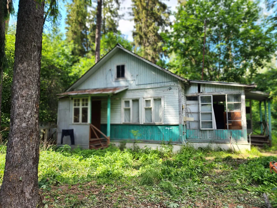 Фото: МедиаБанк Подмосковья/Роман Савельев