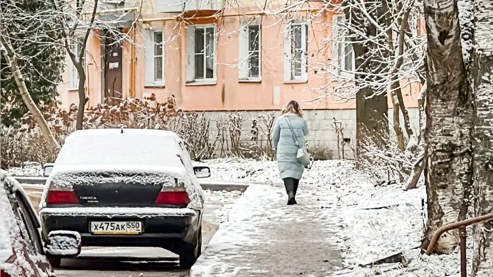 Фото: МедиаБанк Подмосковья/Данила Кирьянов