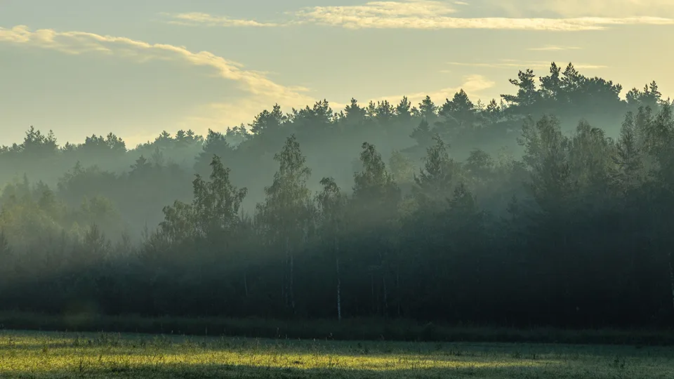 Фото: Антон Кондратюк