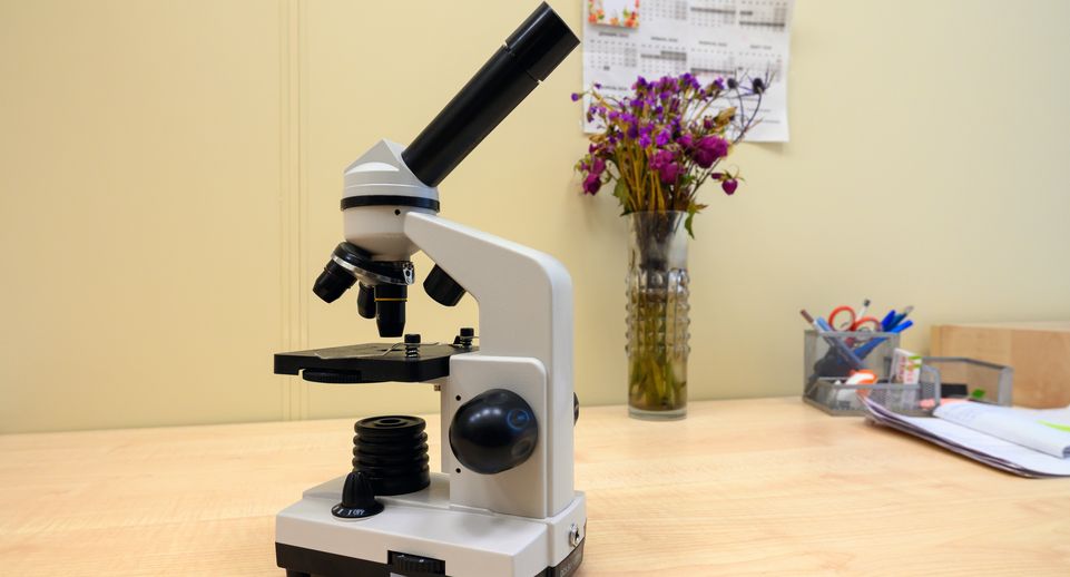 Scitechdaily: ученые раскрыли механизм маскировки рака поджелудочной железы