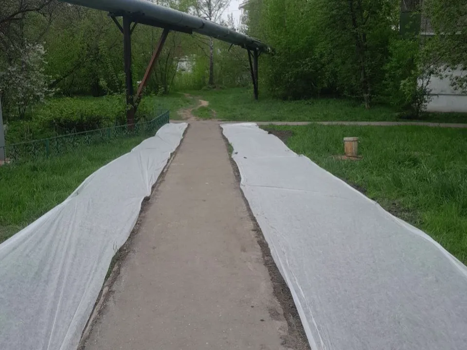 Фото: администрация г.о. Одинцово