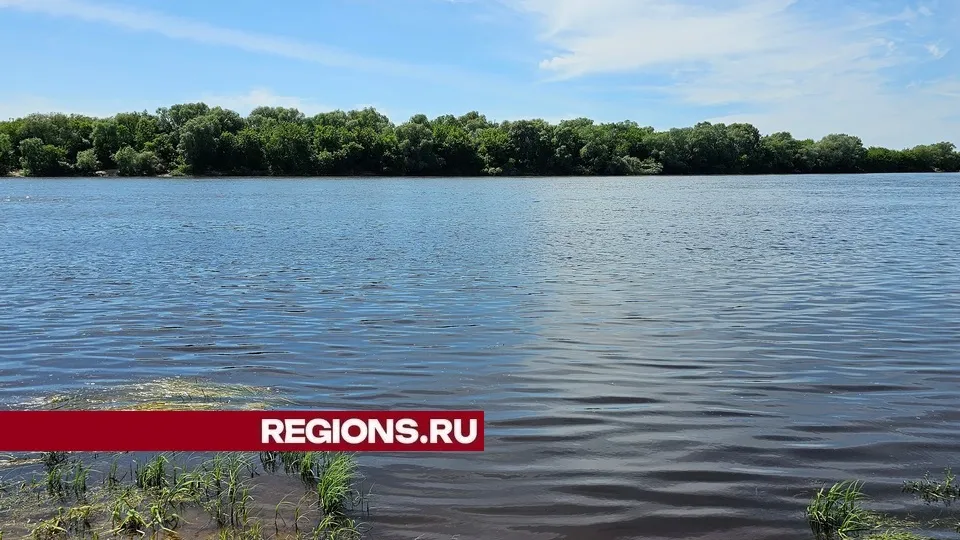 Фото: REGIONS/Александр Дрожжин