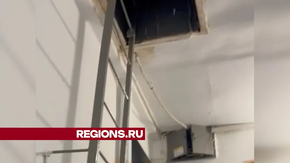 Фото: из личного архива Алены Никифоровой