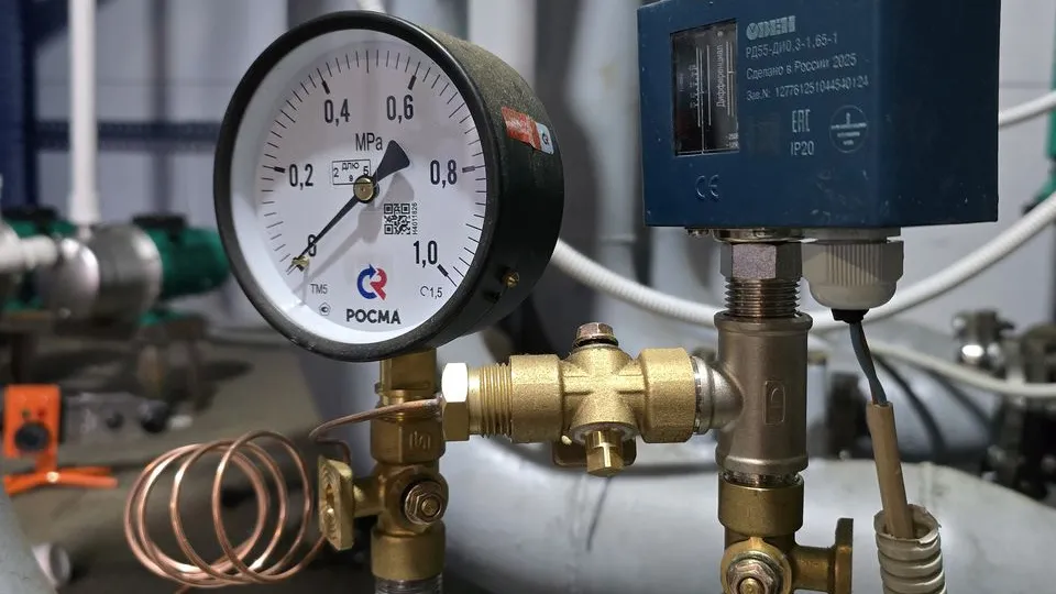 Фото: МедиаБанк Подмосковья/Марина Анисимова