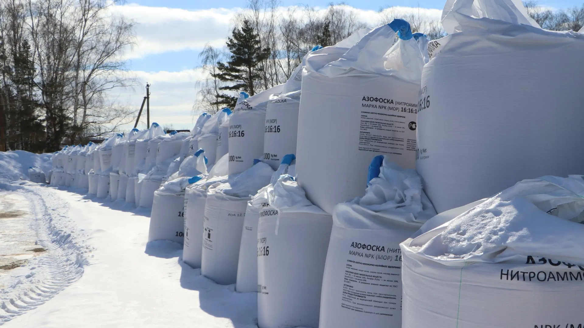 Ирина Матвеева