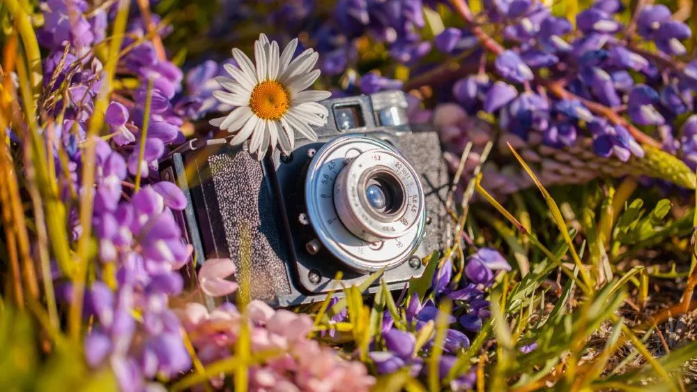 Фото: Соцсети