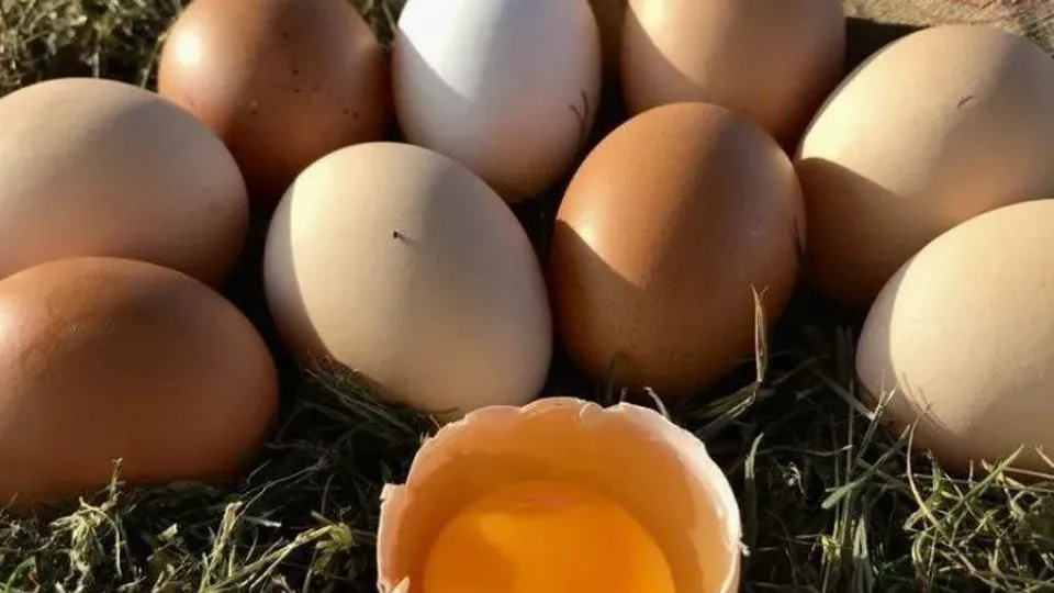 Фото: городская доска объявлений