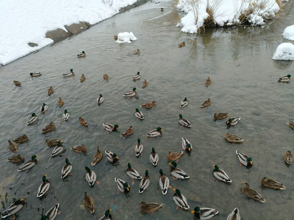 Фото: REGIONS/Елена Шахиджанова