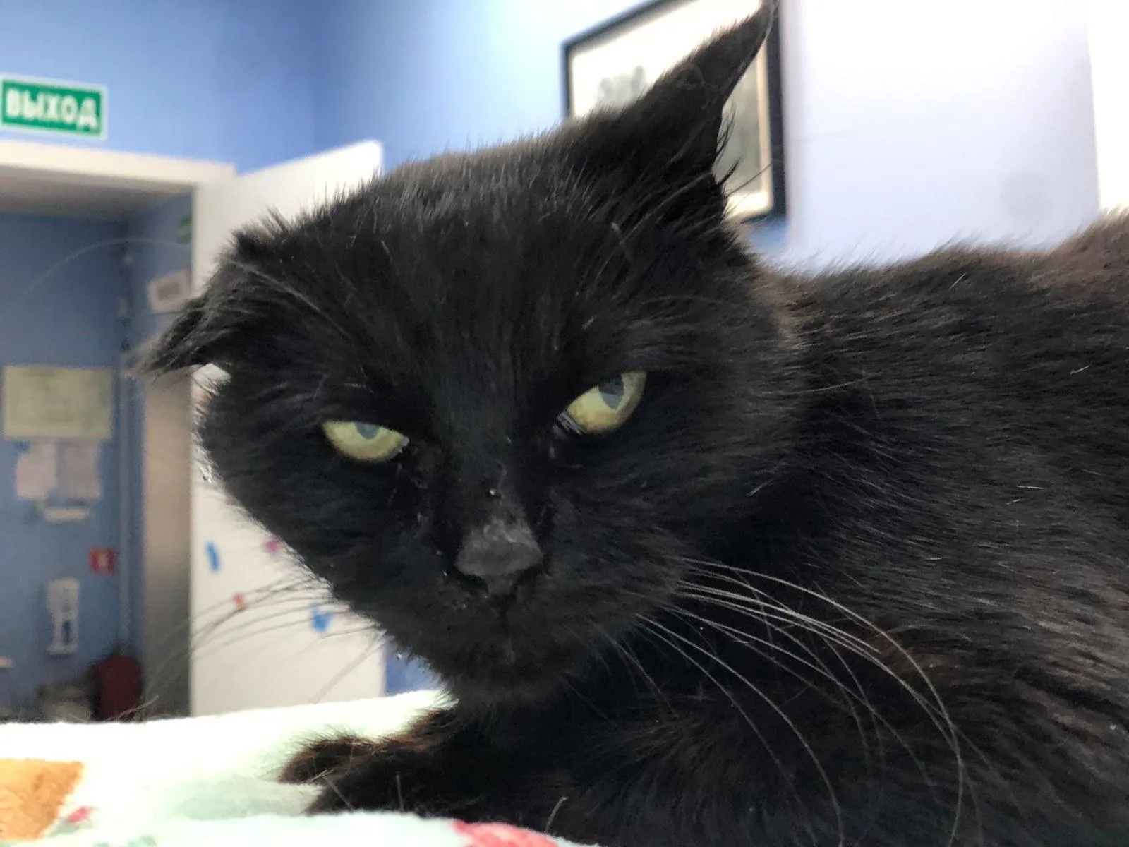 Фото: Татьяна М. / ВКонтакте