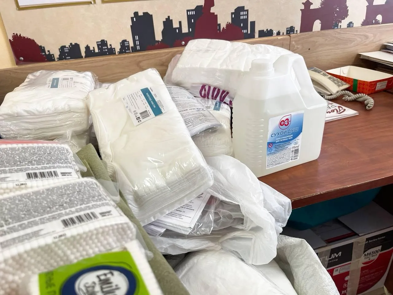 Фото: пресс-служба администрации г.о. Подольск