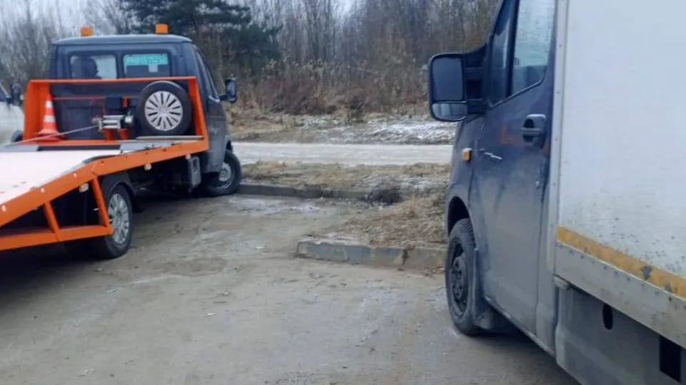 Фото: пресс-служба администрации г.о. Ленинский