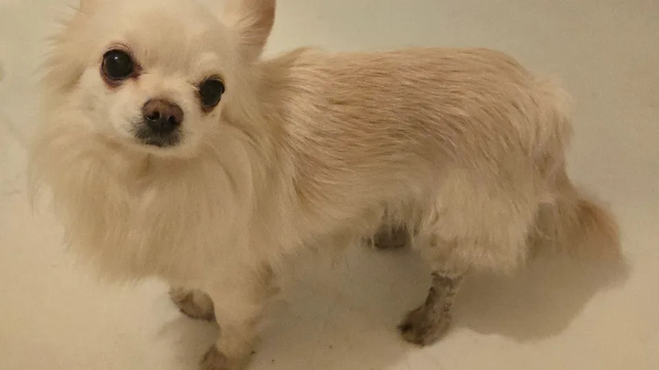 Фото: Ирина Комогорова