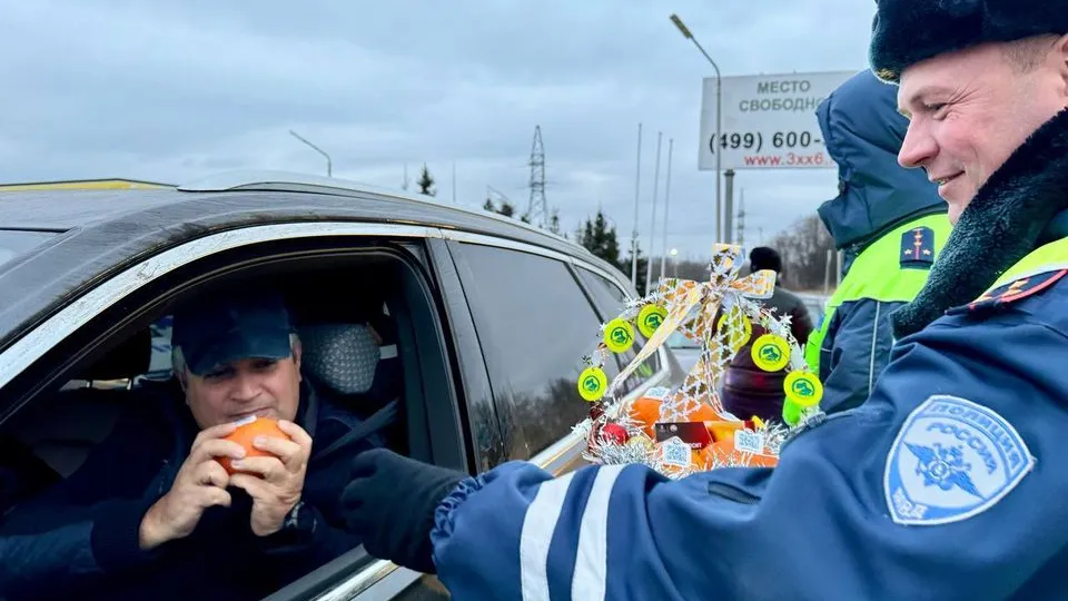 Фото: t.me/gibdd50mo