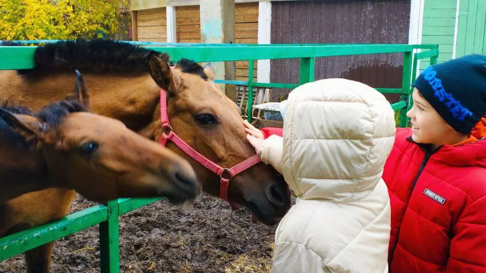 Фото: Министерство социального развития МО