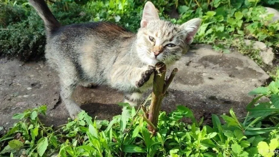 Фото: Подслушано на Глебовке (новая) / ВКонтакте