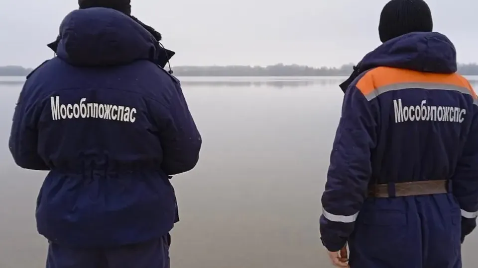 Фото: пресс-служба ГКУ МО «Мособлпожспас»