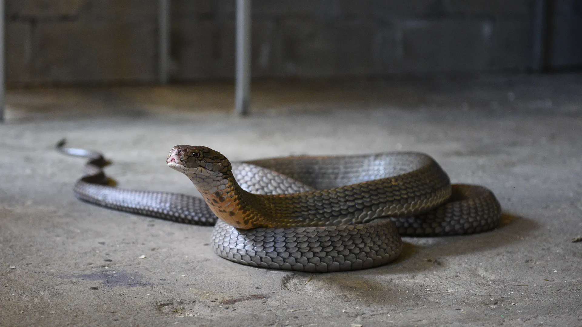 медиасток.рф