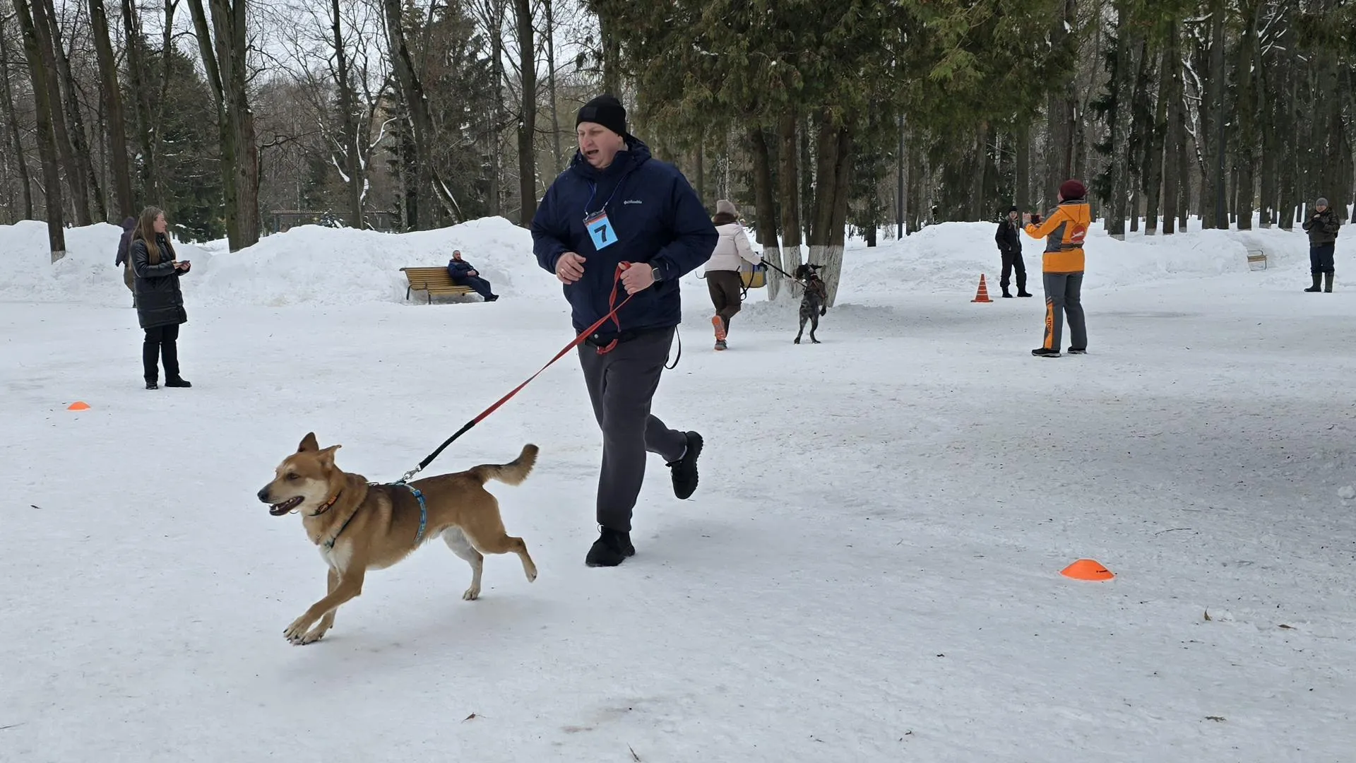 МедиаБанк Подмосковья/Марина Анисимова