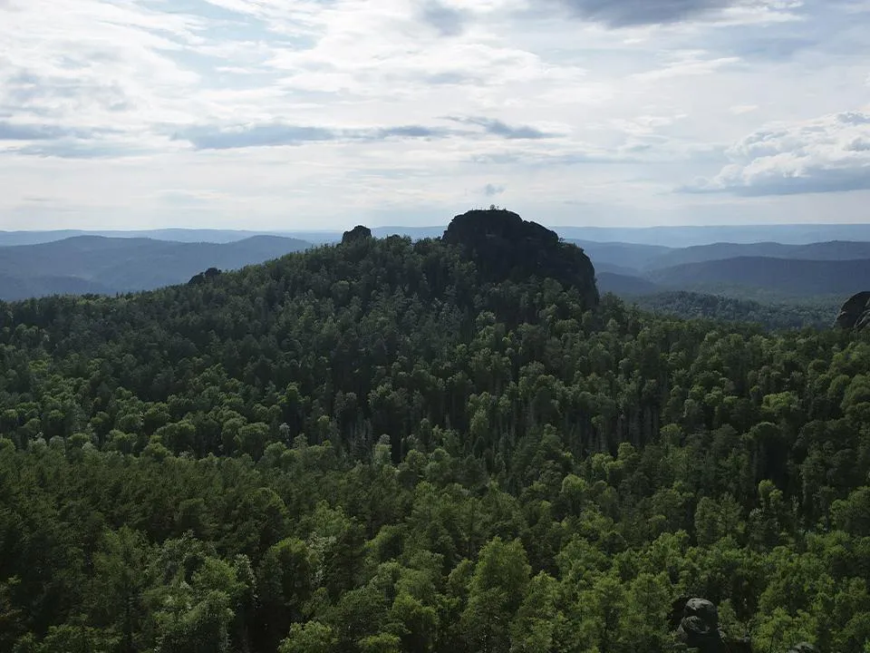 «Яркое кислотное пятно»: выяснилось, как можно выжить в тайге