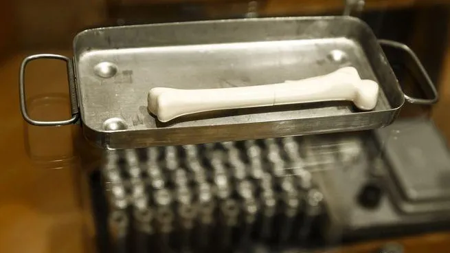 В Саратове мужчина обнаружил на своем участке человеческие кости