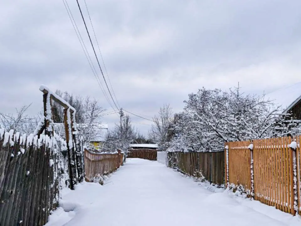 Фото: REGIONS/Роман Малышенко