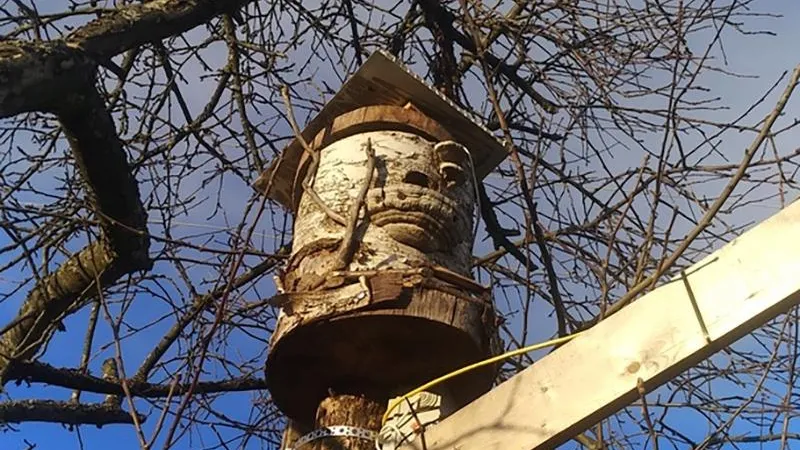 Александр Хрещёвский 