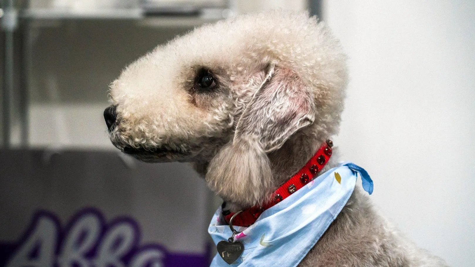 медиасток.рф