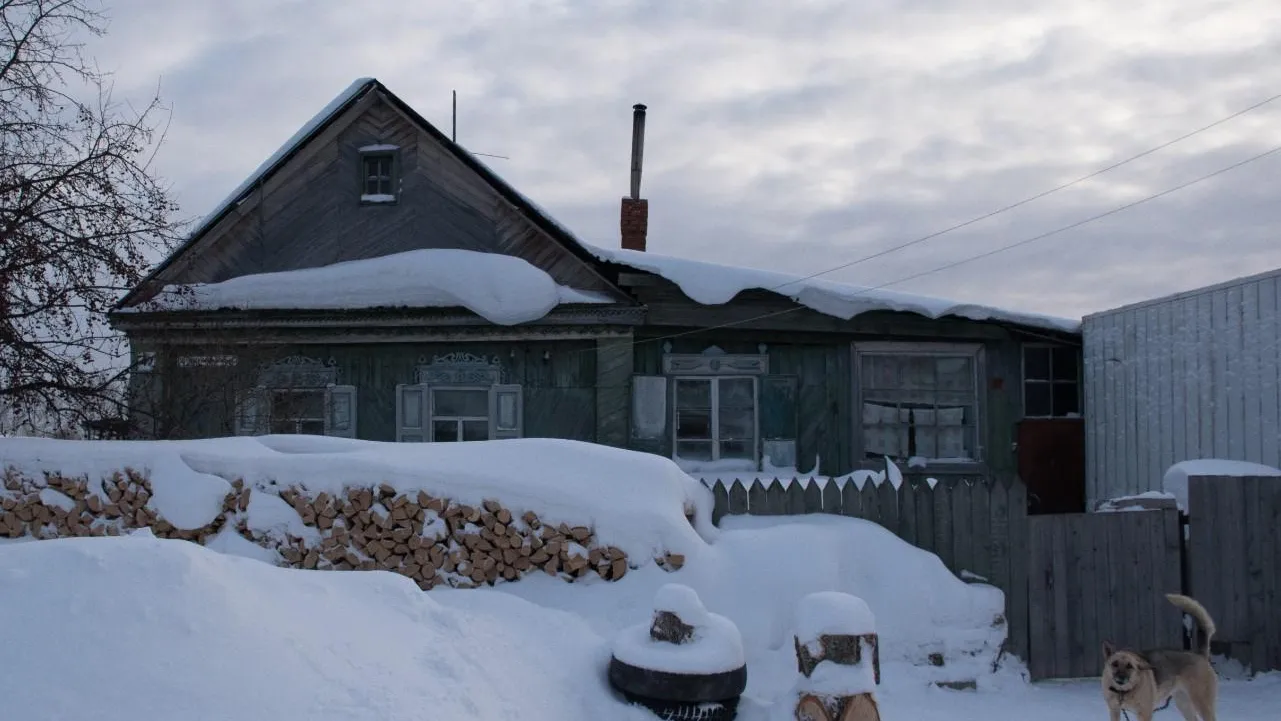 Земельные участки украинцев в Курской, Брянской и Белгородской областях начали конфисковывать