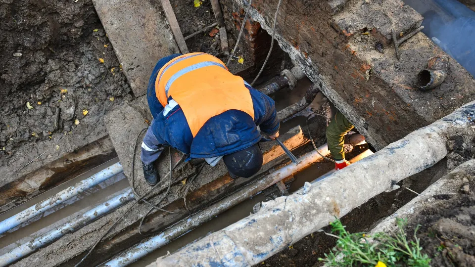 Фото: пресс-служба администрации г.о. Химки