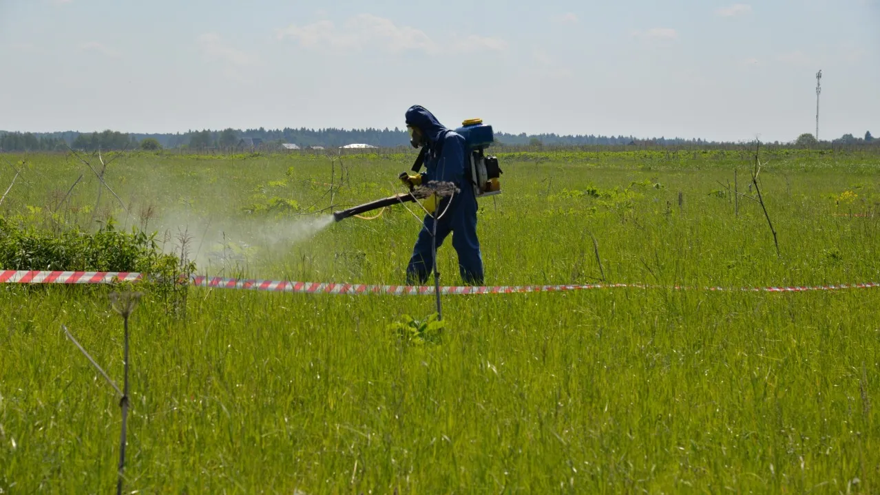 Фото: пресс-служба министерства транспорта и дорожной инфраструктуры Московской области